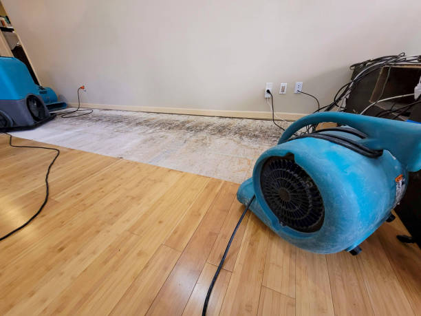 Professional Structural Drying technician working in North Franklin, CT